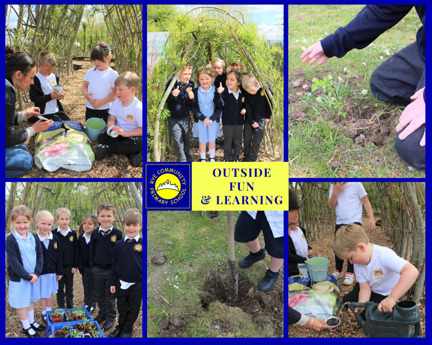 Image of Term 5 Outdoor Fun and Learning 
