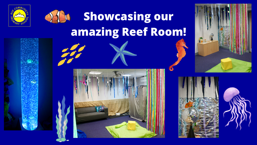 Image of Showcasing our amazing 'Reef Room!'